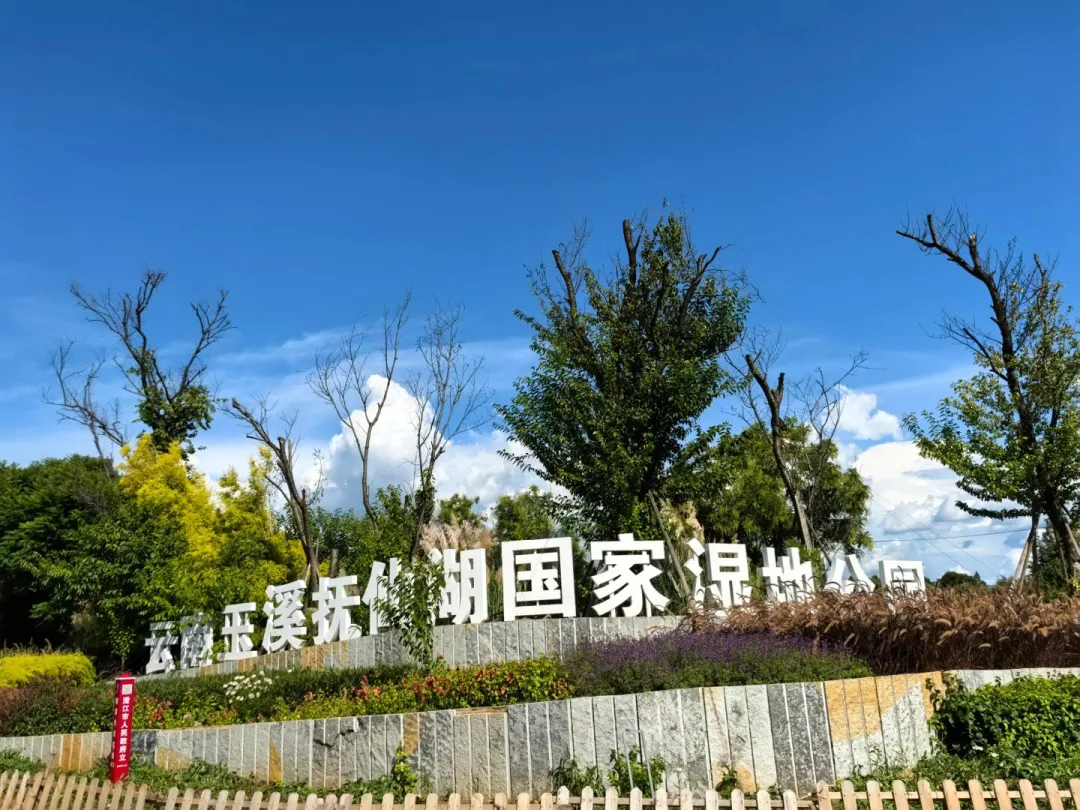 0f7fde05f5ec4892a698dfd42d1d68b8-sz_2378047