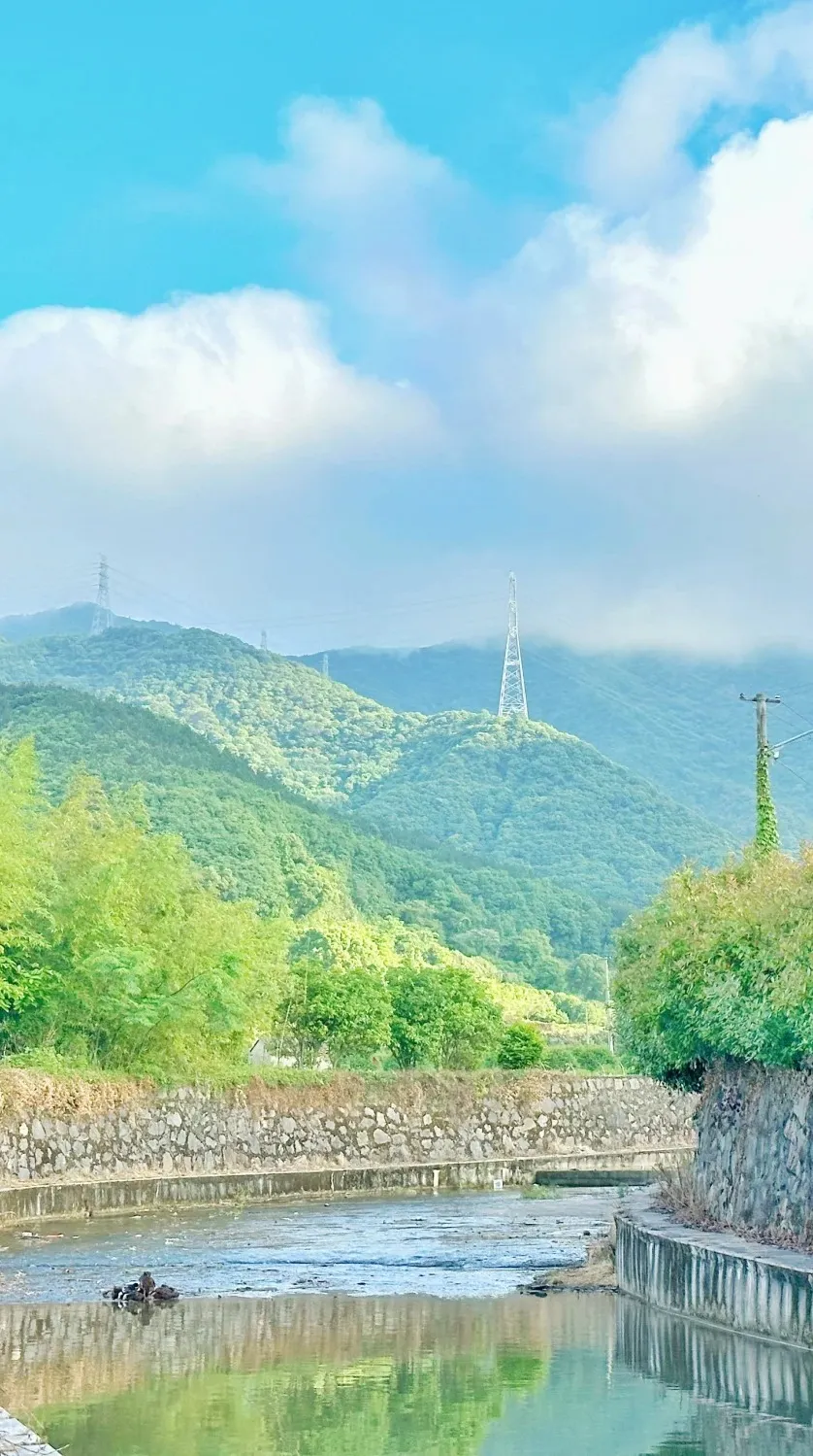 0fb286ff588f138b84712d4ed8447862-sz_455718