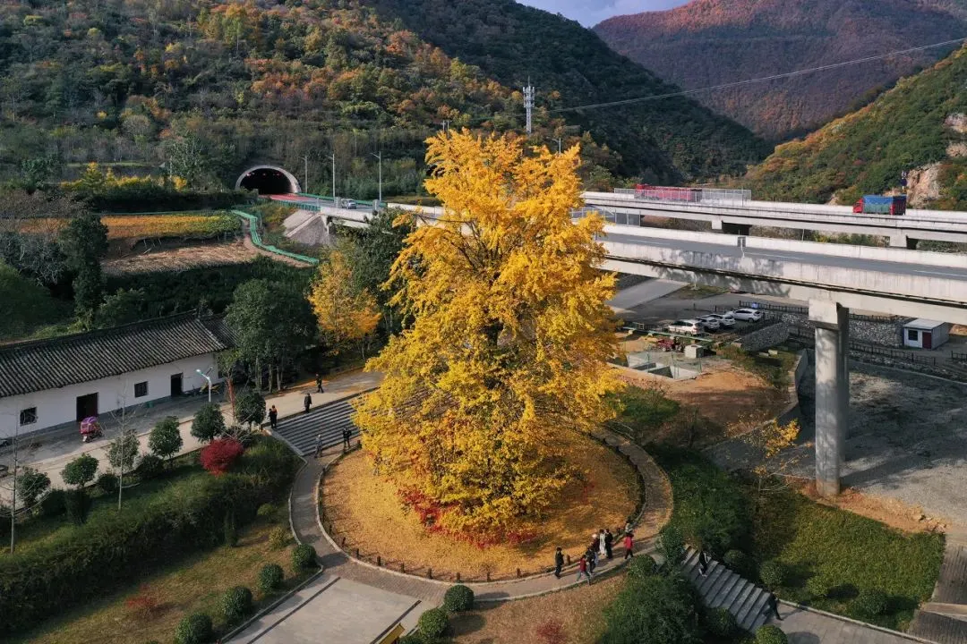 0fbeb423d305ecbb74512fb9769dfcbd-sz_208861 0fbeb423d305ecbb74512fb9769dfcbd-sz_208861