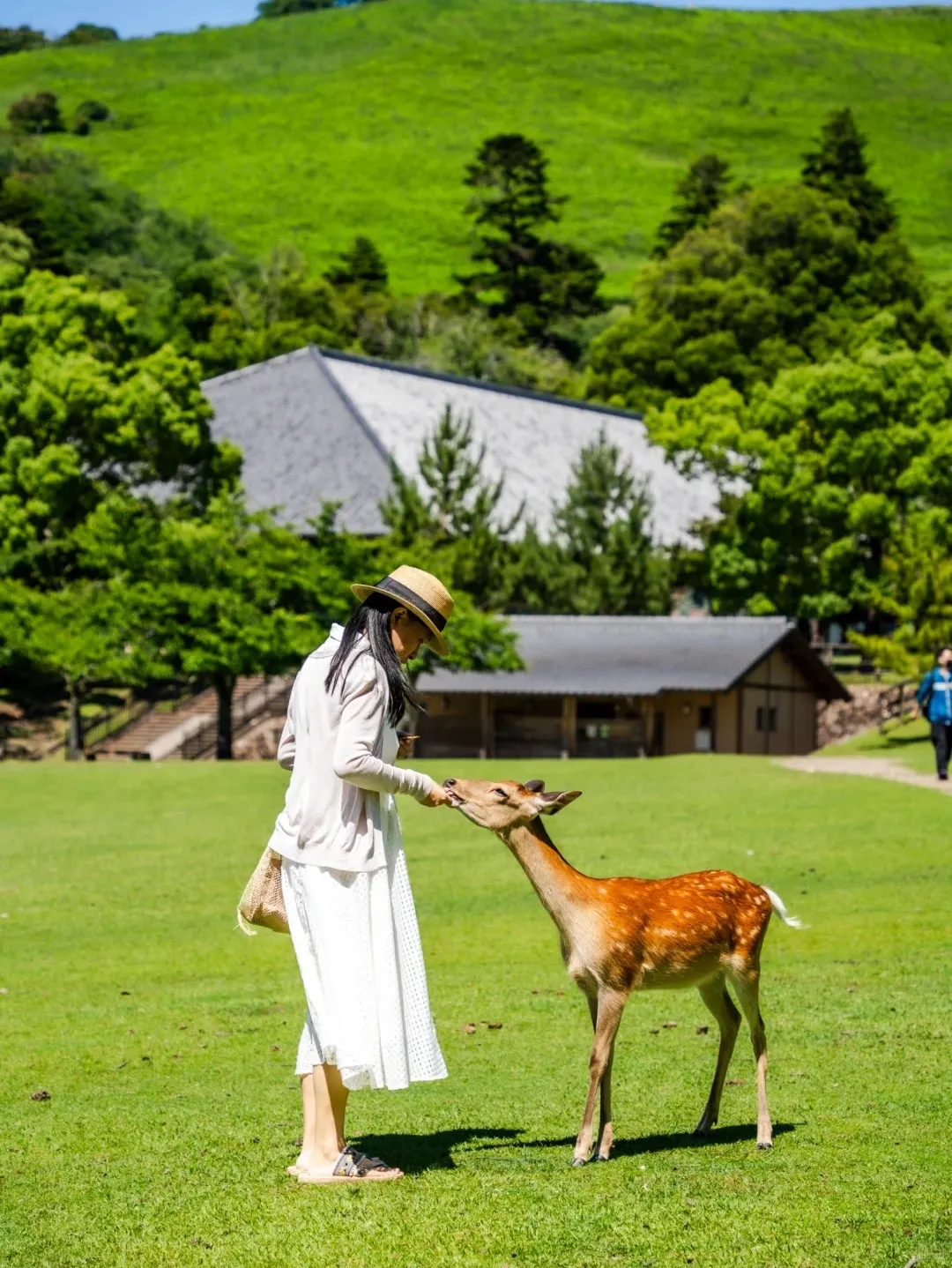 0fd4eb2d28219e172ec2e778035cde10-sz_425950 0fd4eb2d28219e172ec2e778035cde10-sz_425950