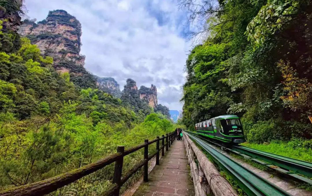 1036c6f929752fb2371fd8046bef6a47-sz_251837 1036c6f929752fb2371fd8046bef6a47-sz_251837