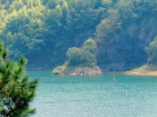 10ad64575269c39b82db978d53b55b9c-sz_843378