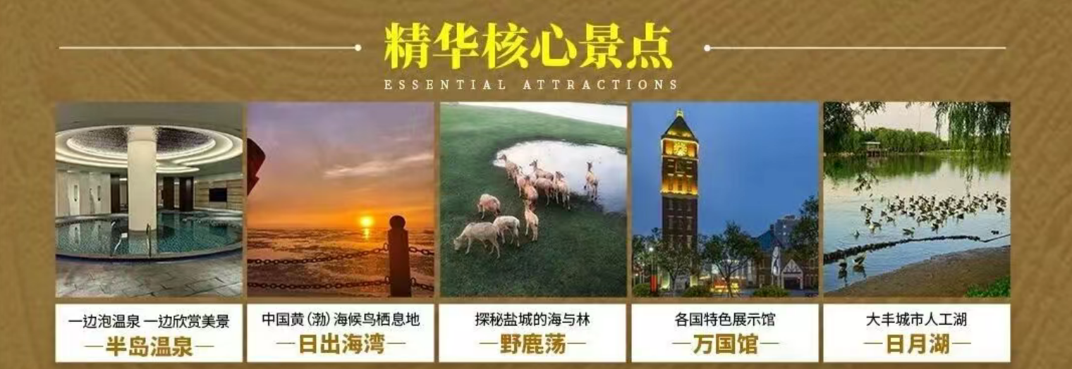 10f04383deb6f8dc859db49c510400ed