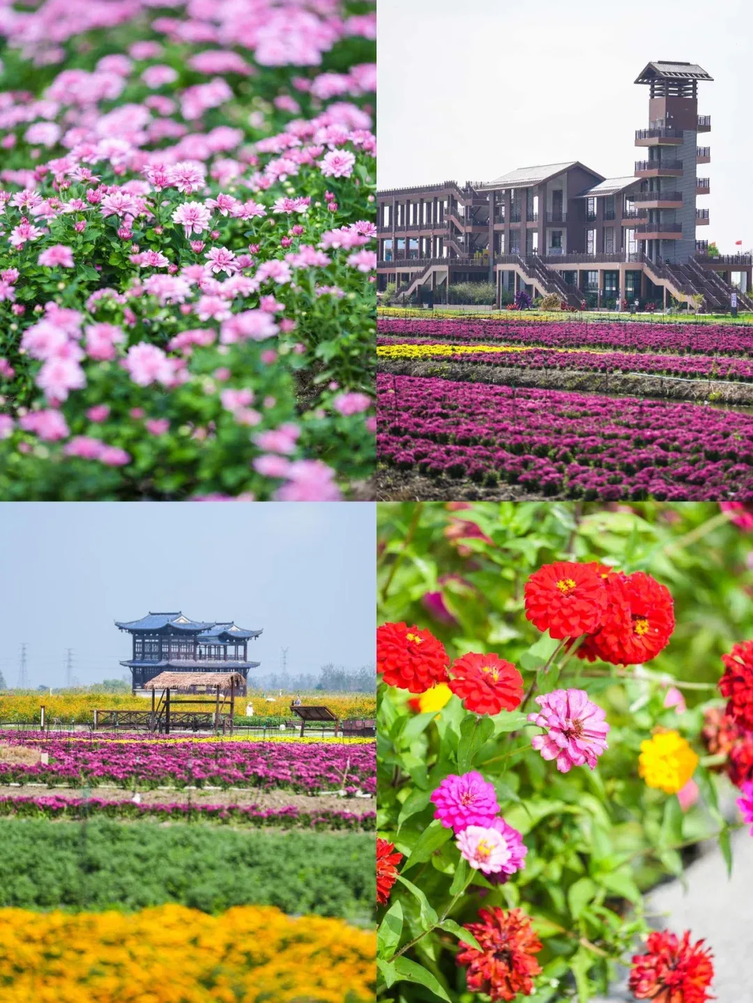 116bac1026358492aa6c2de4c0277db5-sz_3550130-1