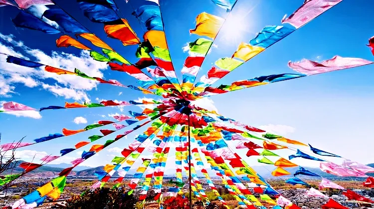 117d6d540404fe65405c5e8e4db0851f-sz_337400