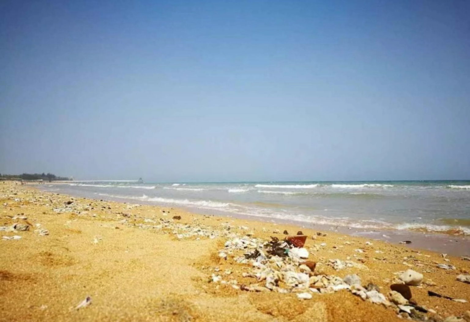 118b2e34d02de3808b3272b2d03a8efb 118b2e34d02de3808b3272b2d03a8efb