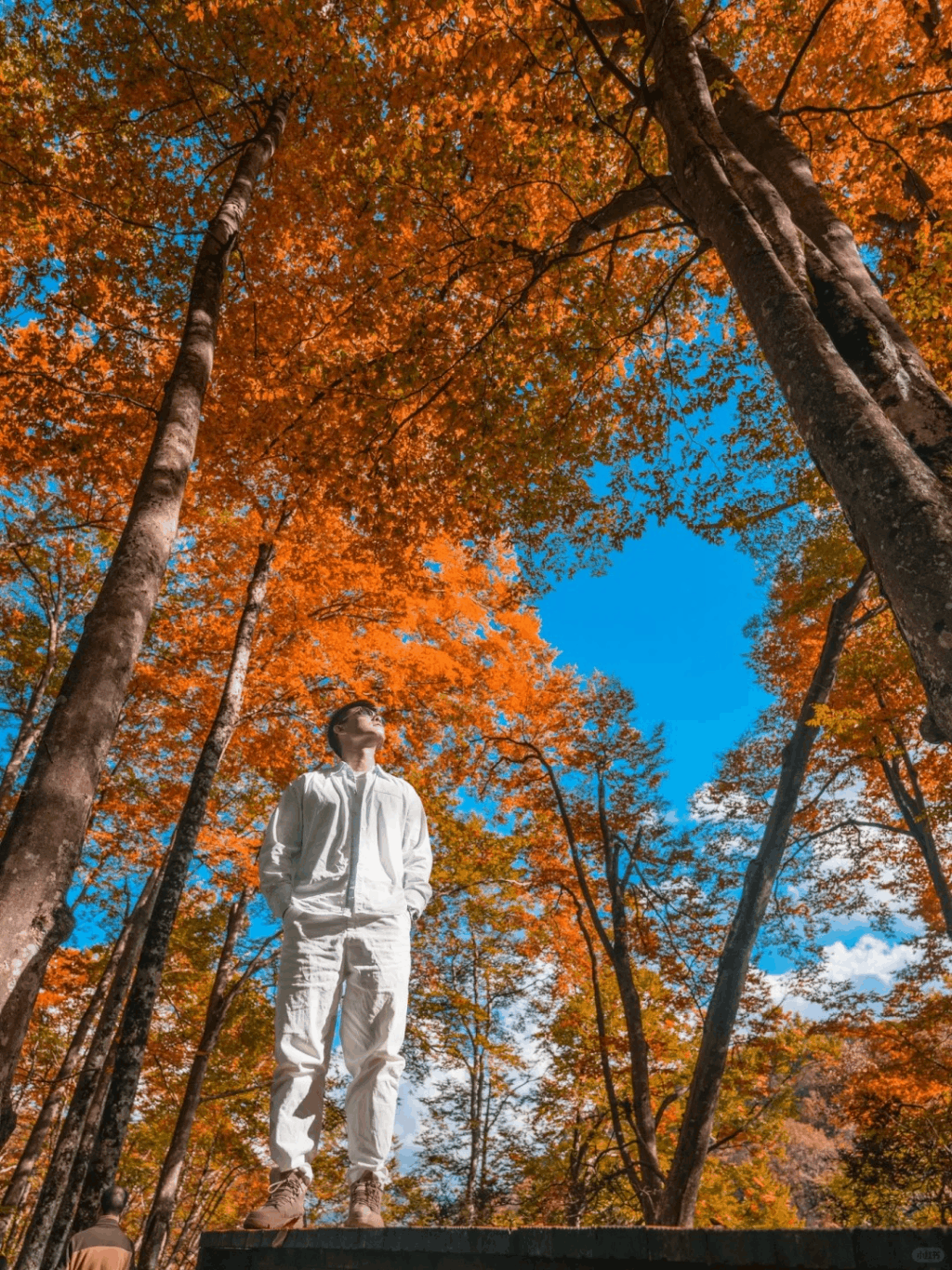 11934afb2311344e102cb57ca6dca930-sz_8837416-1