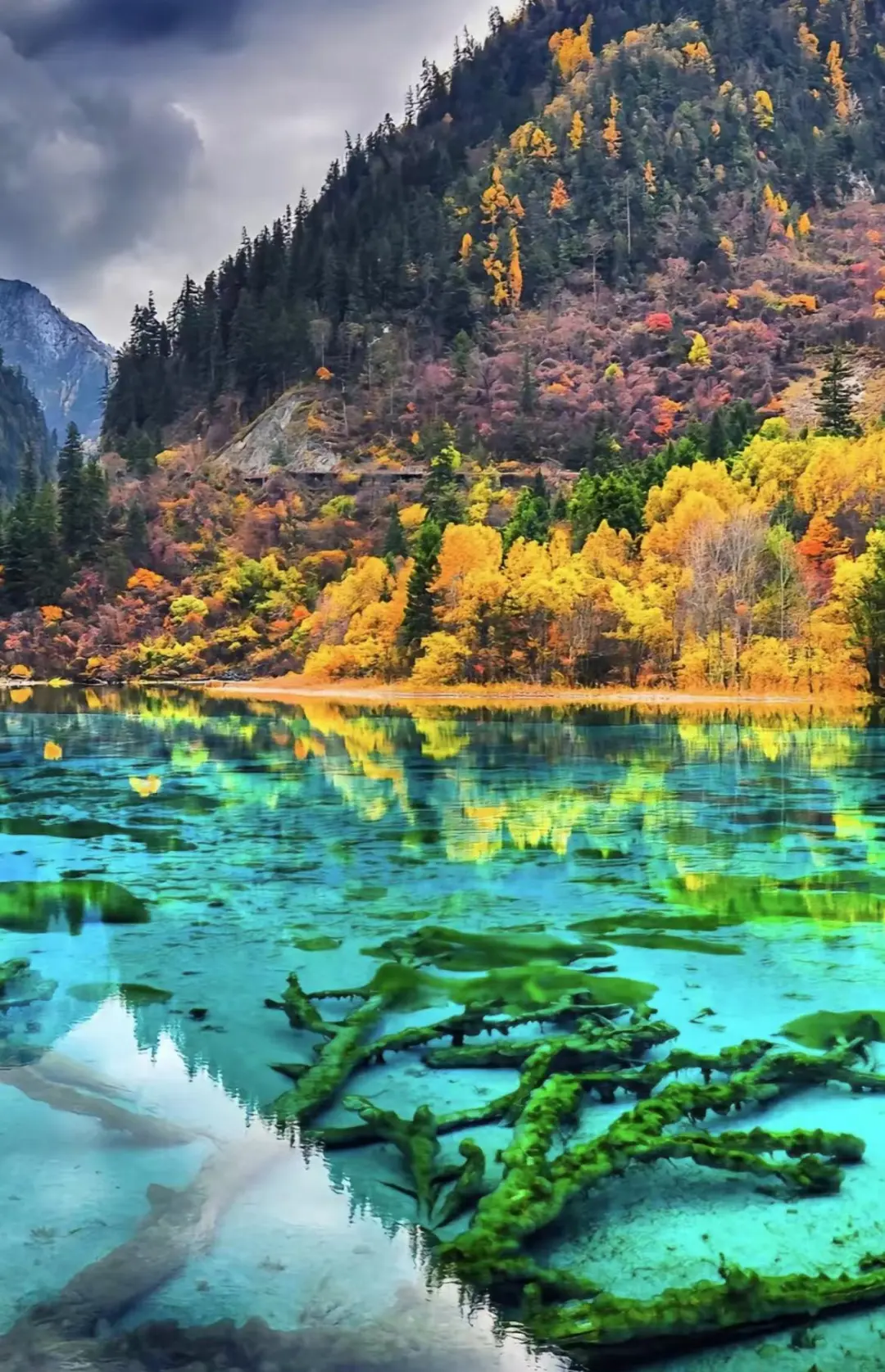 11c2b90922964b65dde5e7d86d19e443-sz_378807-1 11c2b90922964b65dde5e7d86d19e443-sz_378807-1