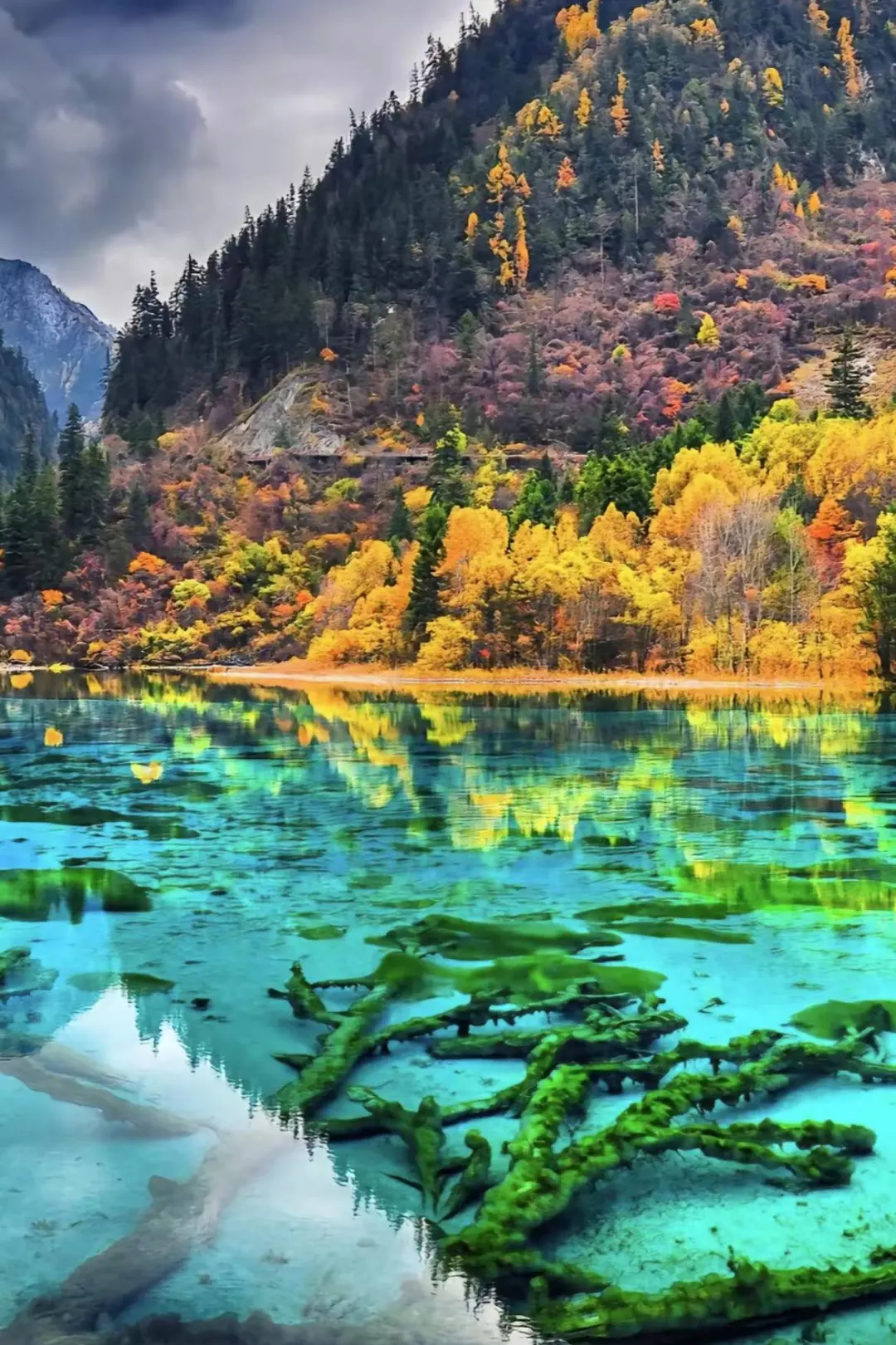 11c2b90922964b65dde5e7d86d19e443-sz_378807 11c2b90922964b65dde5e7d86d19e443-sz_378807