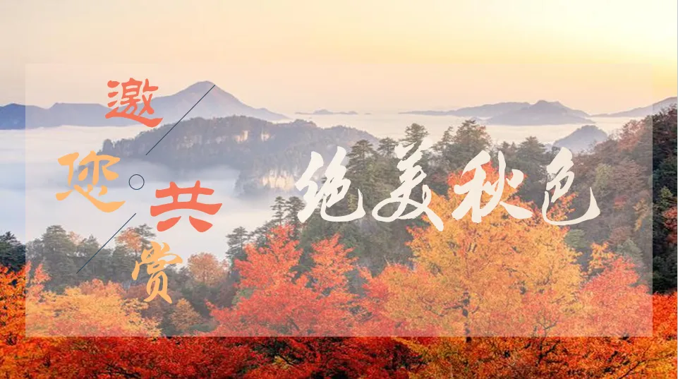 11月考察班❤2480元/人【秋韵光雾】双飞5日★秋色光雾山★重庆升级一晚4钻+一晚携程5钻酒店