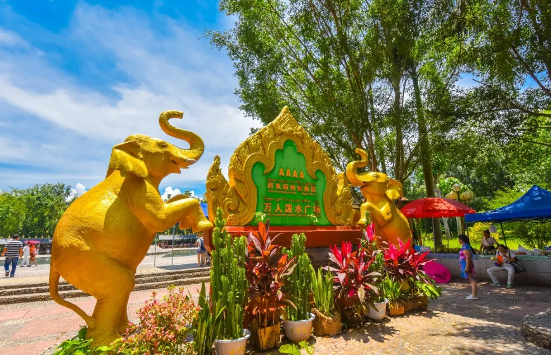 1200c8d85f597c6407c3dd2fe271e83e-sz_412899-1