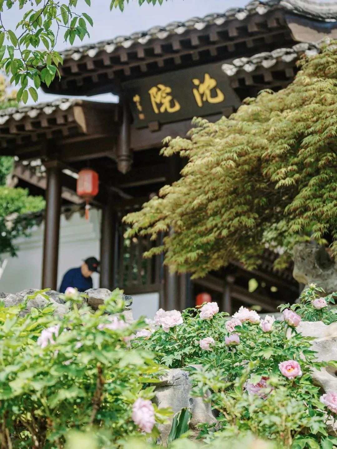 1203e0571e958d6131b27b246c3c8564-sz_270959 1203e0571e958d6131b27b246c3c8564-sz_270959