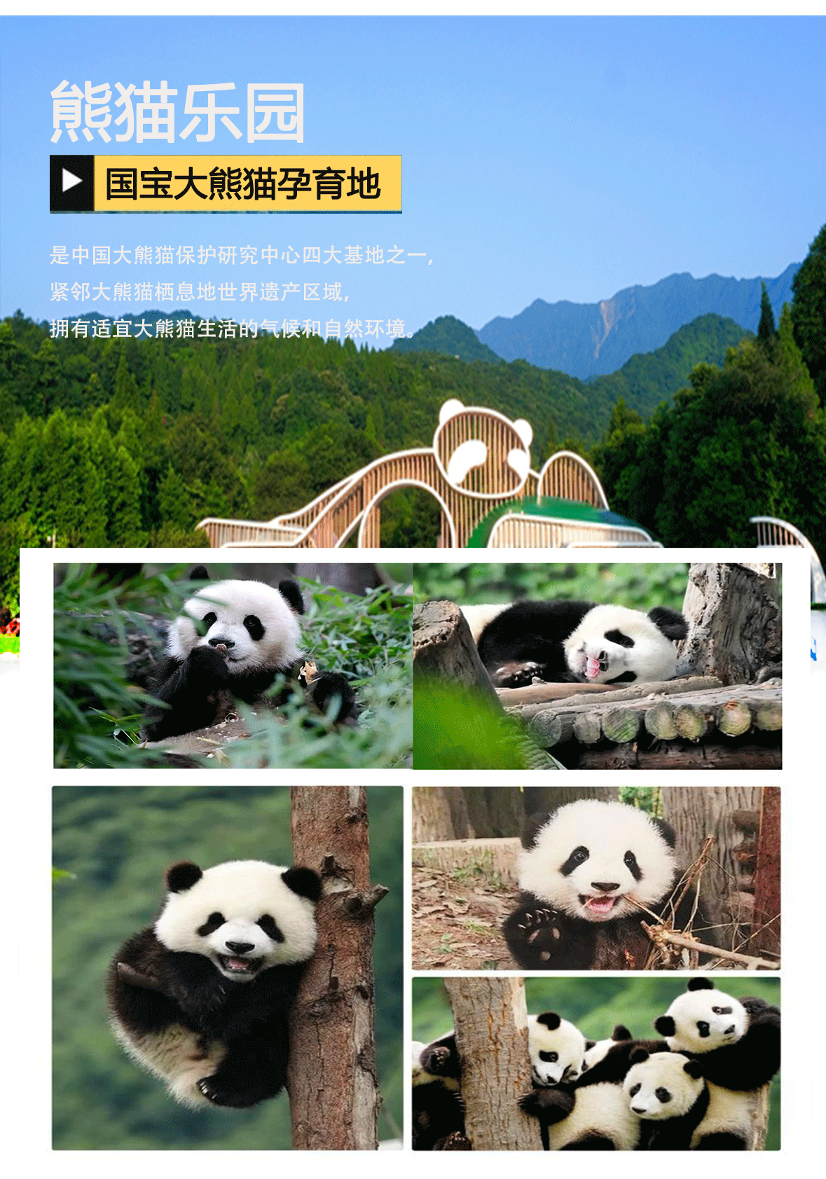 1286a6aded26835a23a1d6d017d17f1e-sz_919049