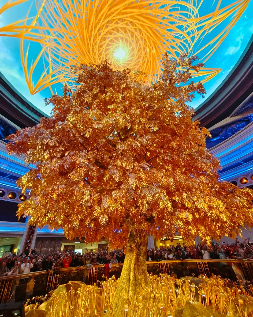 12b76aada4b68cdb041bb7960acfb452-sz_3830567-1 12b76aada4b68cdb041bb7960acfb452-sz_3830567-1