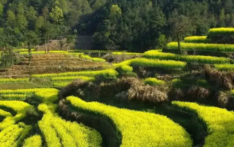 12ceedc7ee2003df1c980e8cc6b96272-sz_1530280 12ceedc7ee2003df1c980e8cc6b96272-sz_1530280