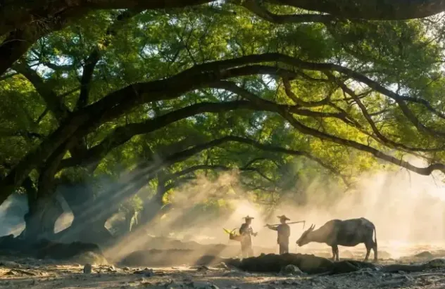 12dfae7907934a8df742ffd97302a7d1-sz_712181 12dfae7907934a8df742ffd97302a7d1-sz_712181