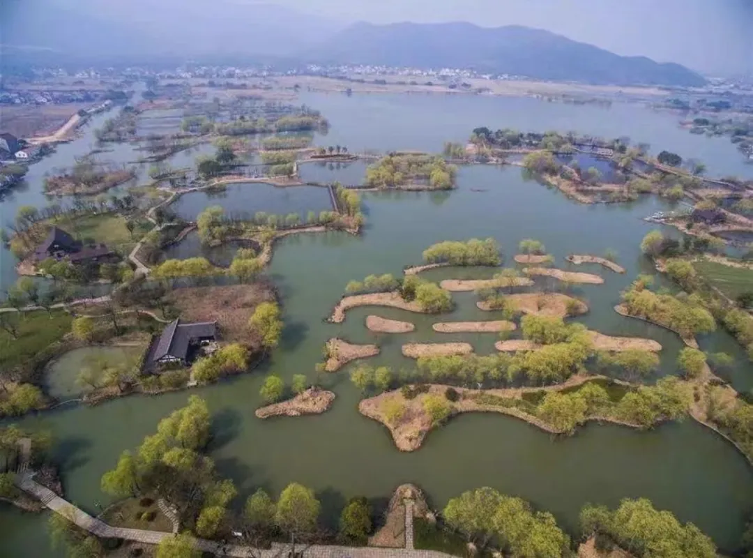 1319cda98518f20a3e46645f5dbe3a91-sz_224695