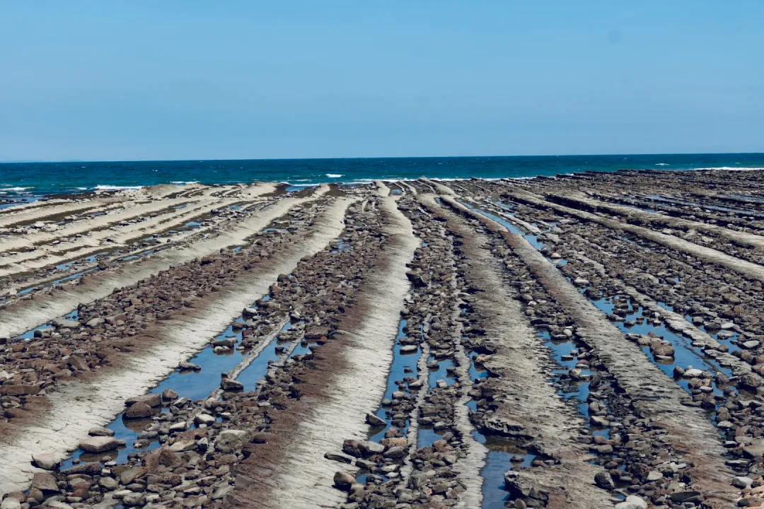 1386bdddeb5da6b0dc7b737eb64c883f-sz_3297486-1 1386bdddeb5da6b0dc7b737eb64c883f-sz_3297486-1