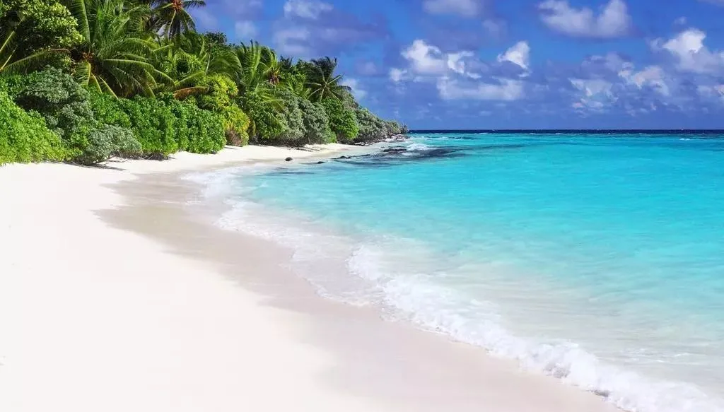 139a915e25594cf27f4e0855e10c9533-sz_86978 139a915e25594cf27f4e0855e10c9533-sz_86978