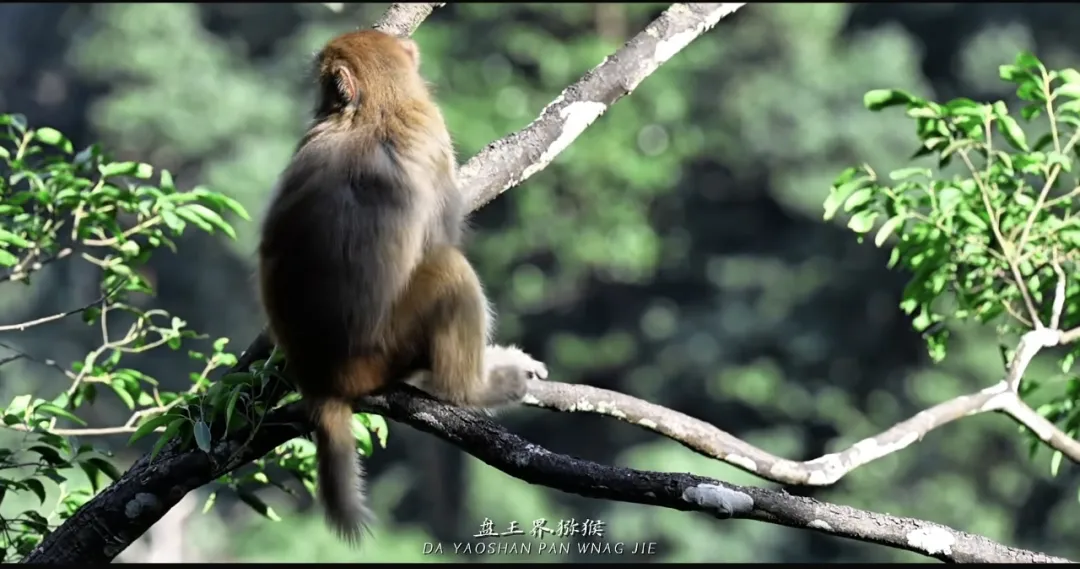 13f23123abffb2ca3af8d5d7439c7b30-sz_761701 13f23123abffb2ca3af8d5d7439c7b30-sz_761701