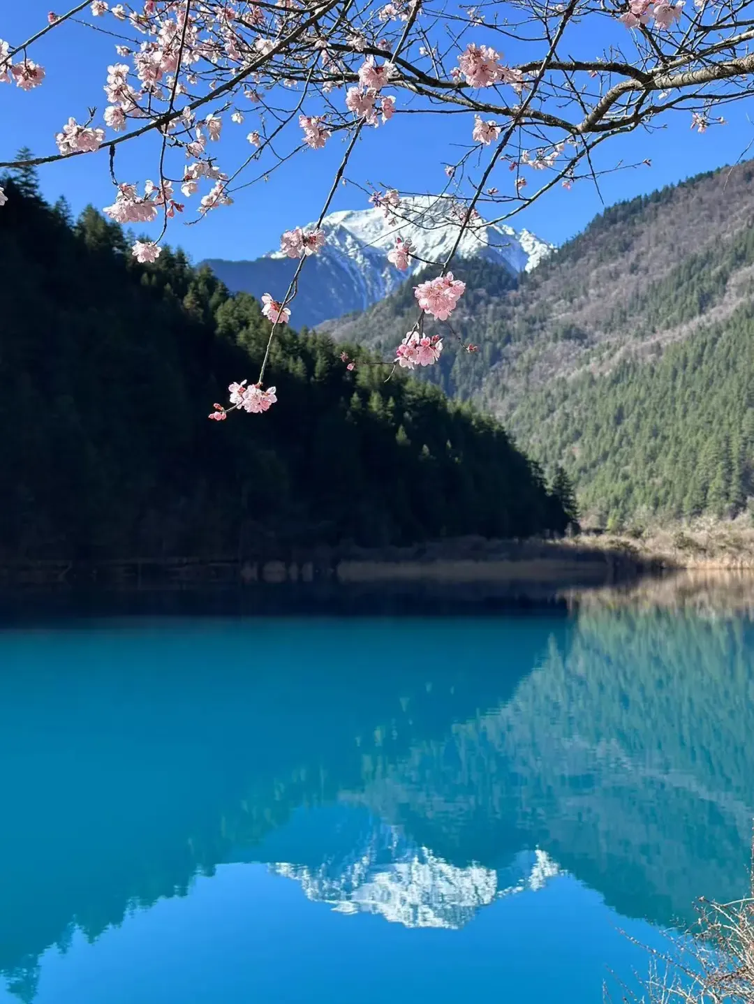 143bac6b9a6c012760a27ae45c48379a-sz_2424952-1 143bac6b9a6c012760a27ae45c48379a-sz_2424952-1