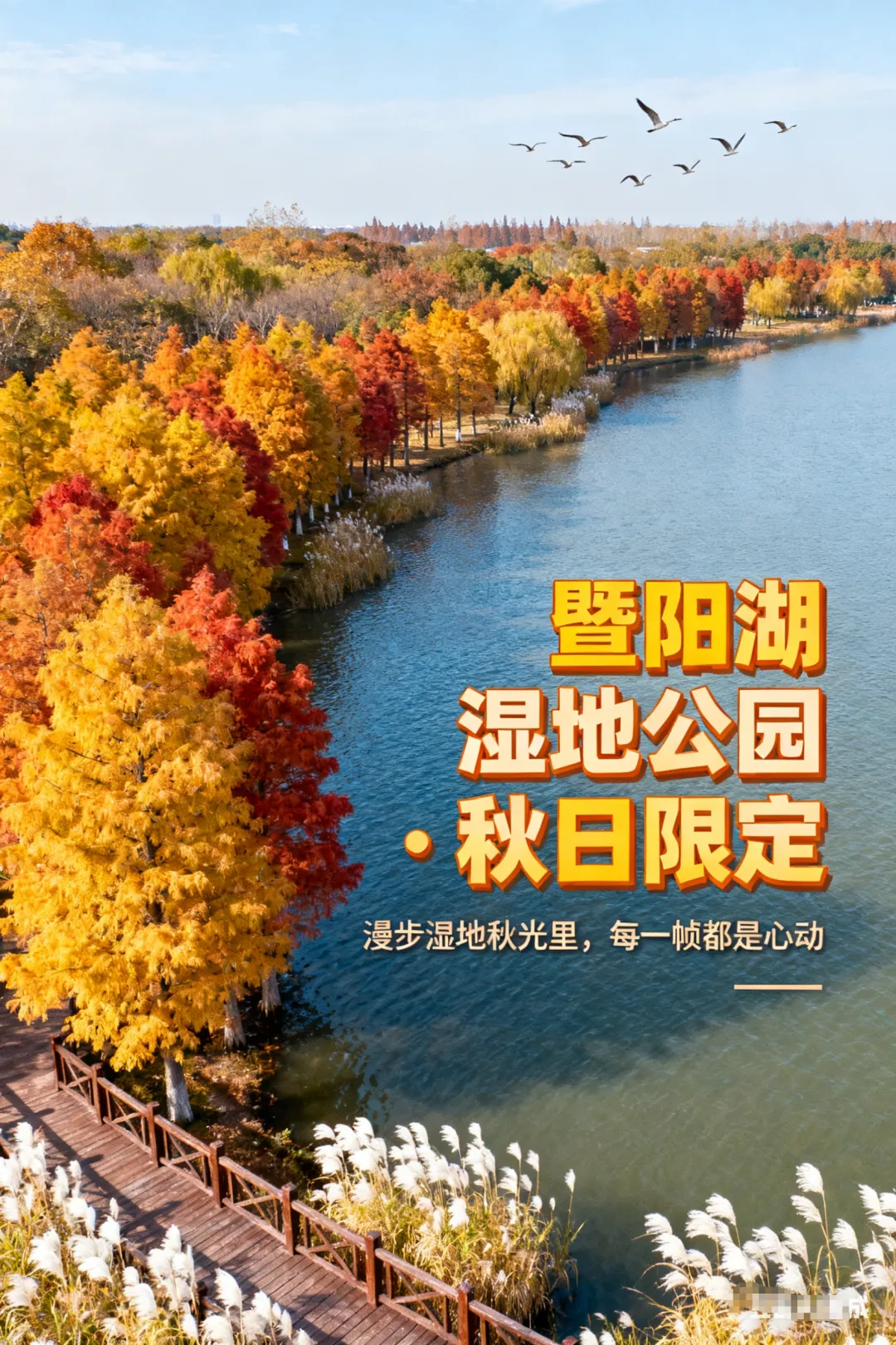 145959c59ec76cbac20309417af51a58-sz_2636832