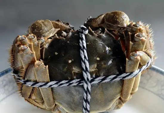 14a6e94277e05386a41774ad558574d6-sz_39352