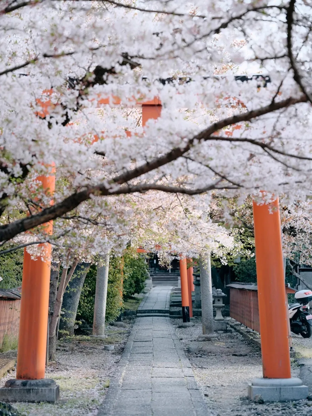 14b0bd96d76a560e2476be91fd938224-sz_496959 14b0bd96d76a560e2476be91fd938224-sz_496959