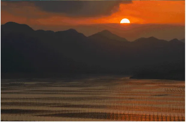 14d23f866cfb47146dc7854d0442e356-sz_350092 14d23f866cfb47146dc7854d0442e356-sz_350092