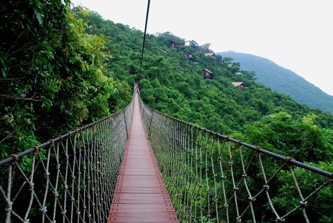 14f4bcb8dc4202f38ba1baaa89f5da28-sz_4315712 14f4bcb8dc4202f38ba1baaa89f5da28-sz_4315712