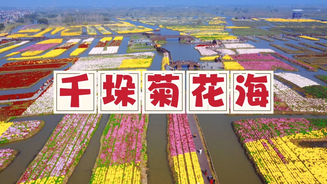 1547ca7341bf217dbe2dd39ce8aa0713-sz_648379 1547ca7341bf217dbe2dd39ce8aa0713-sz_648379