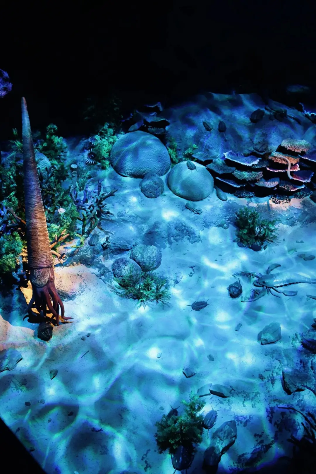 1548aaee9bc84329f8c89a6fb92aad7e-sz_376300 1548aaee9bc84329f8c89a6fb92aad7e-sz_376300