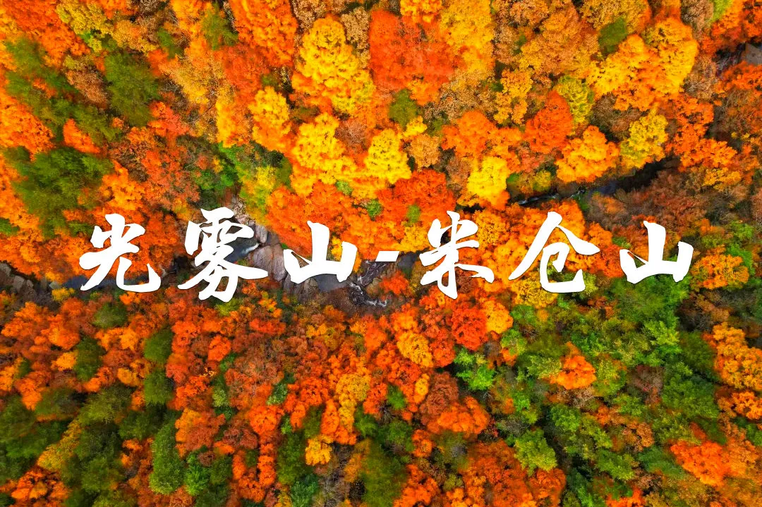 1597b2384ec6e9228aa7123129541974-sz_383496 1597b2384ec6e9228aa7123129541974-sz_383496