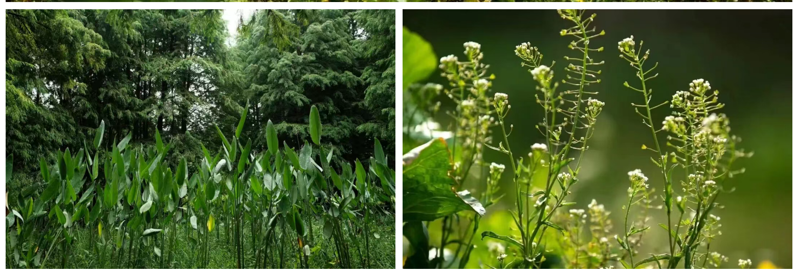 15c53c72bf3ed90a6fd462be19d46d97 15c53c72bf3ed90a6fd462be19d46d97