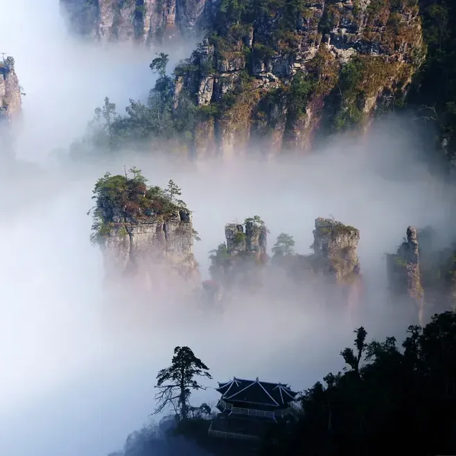 1628a2da14d078e5927fb6f44db7214d-sz_322530 1628a2da14d078e5927fb6f44db7214d-sz_322530