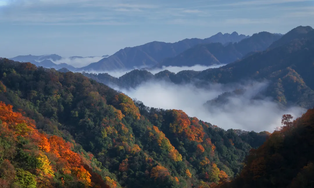 163f94585ea2b0ab3d0cc29ef76850ef-sz_992522-1