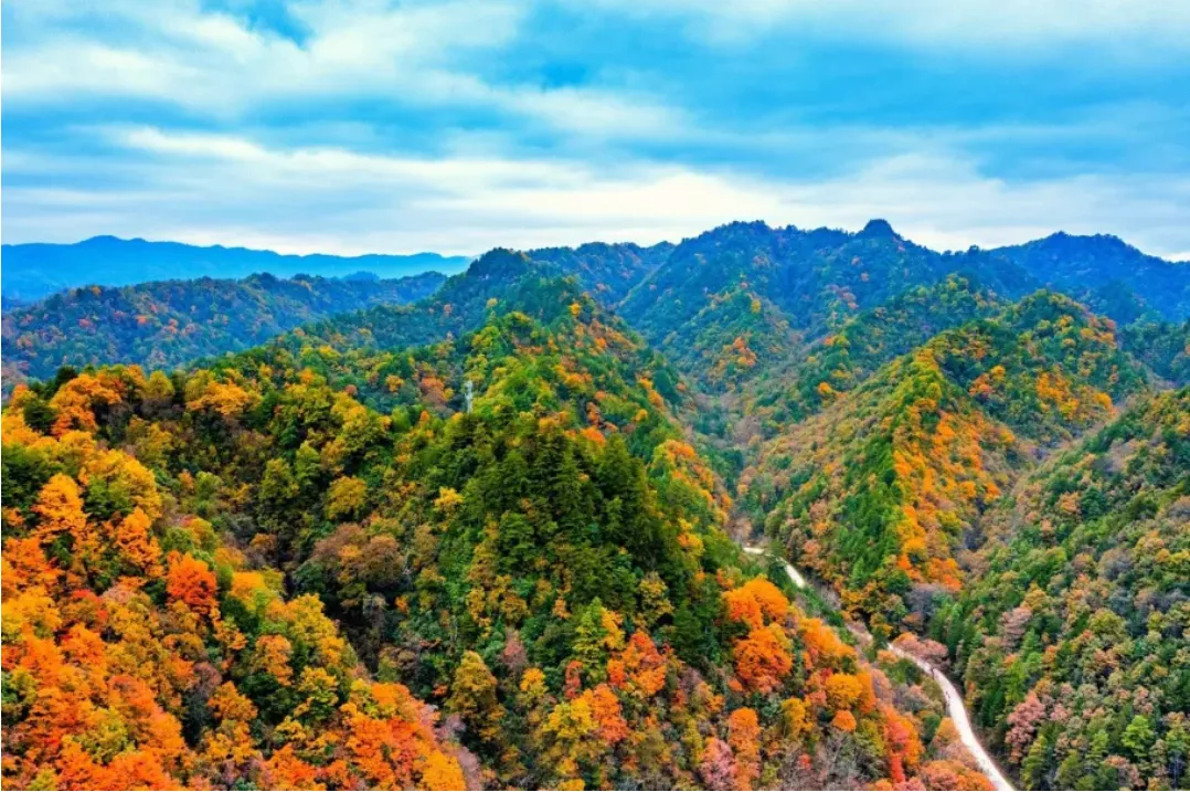 16ab452564f0ad0bb45ec79c97d8565d-sz_2132472-1