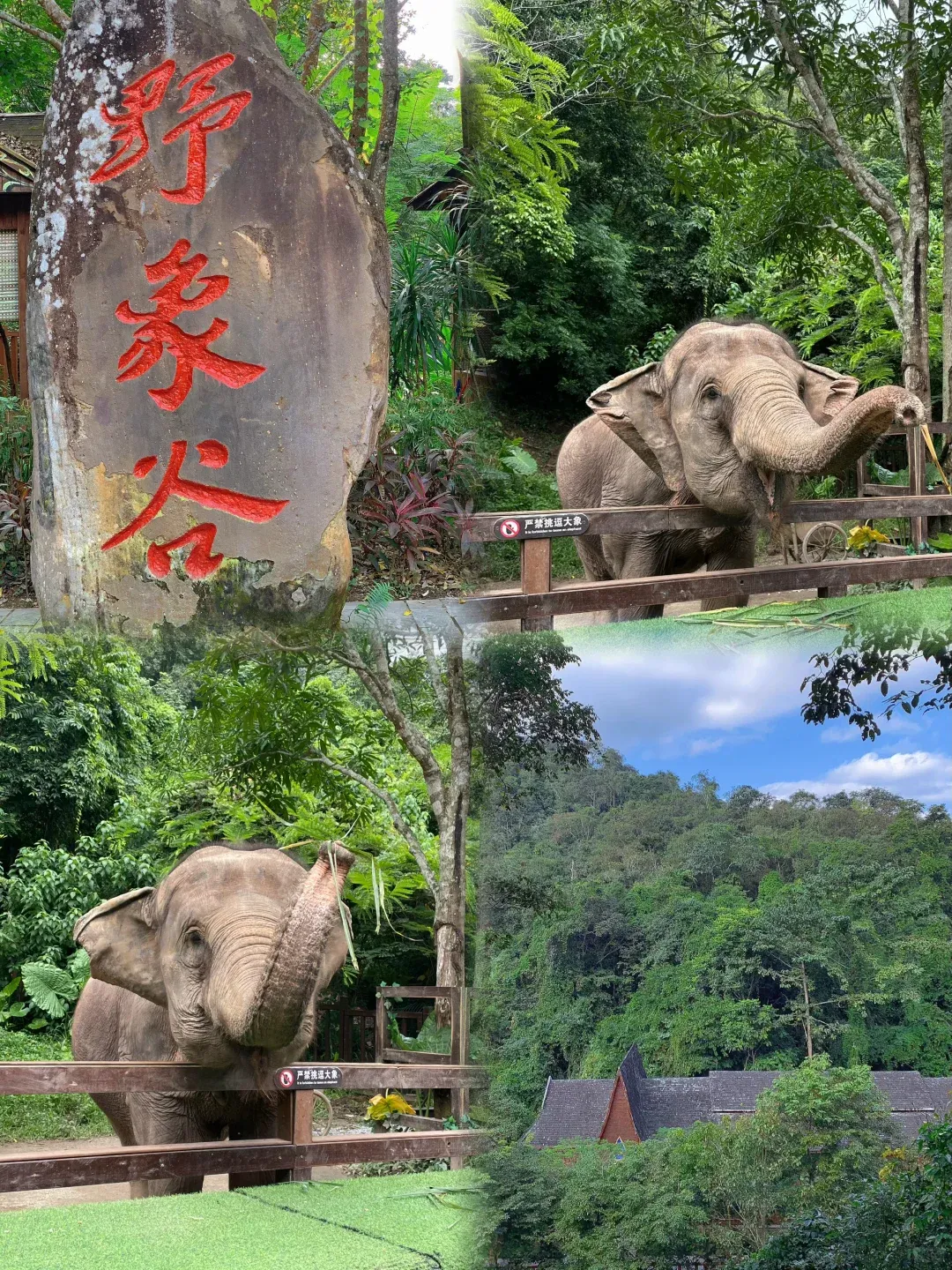 16d650f4e4e0f896430068cfc1f56abd-sz_4248286 16d650f4e4e0f896430068cfc1f56abd-sz_4248286