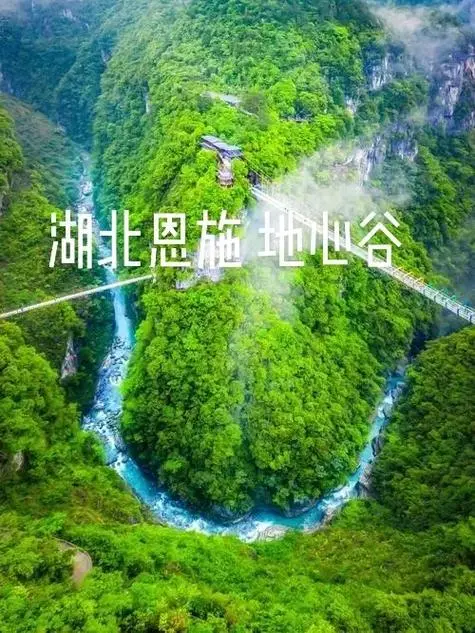 16dd69dc45d1712fb94c49518187b5c2-sz_83655