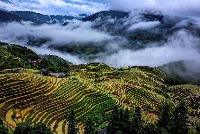 1738734074829tXZ5QSi 1738734074829tXZ5QSi