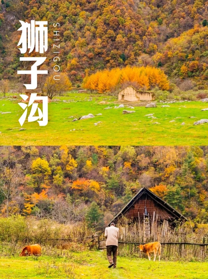 1758770093375_30AJnTHY