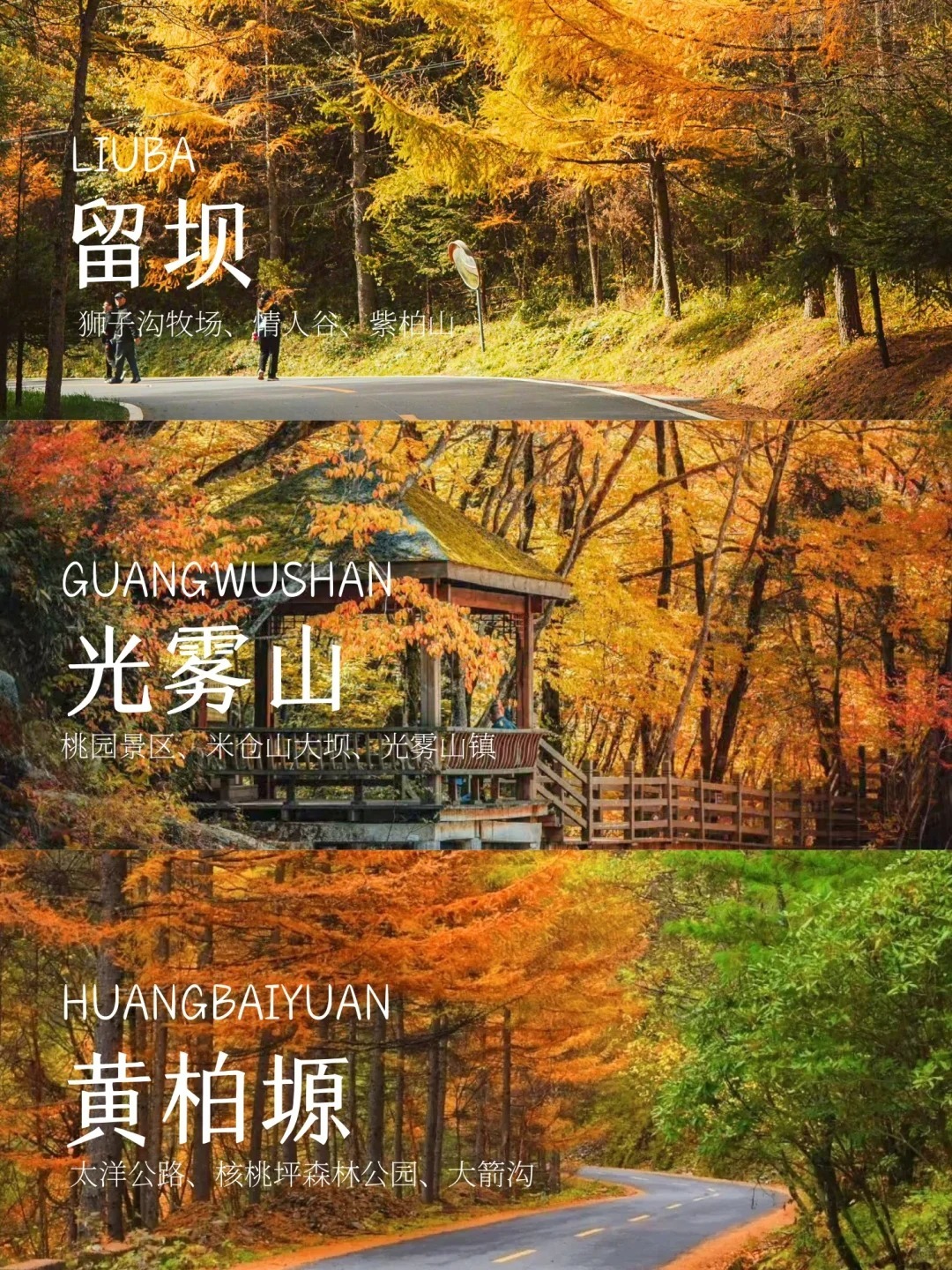 1758770093389_15ykzHyF
