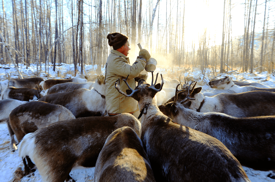 1758856480634_80hcpfzW 1758856480634_80hcpfzW