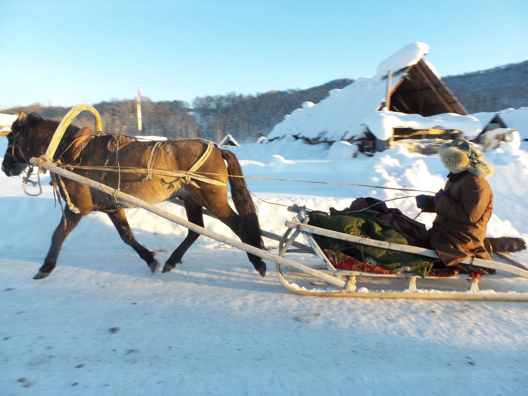 1758856480639_76iEYcGm 1758856480639_76iEYcGm