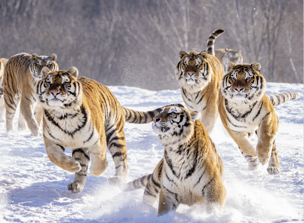 1758856480639_7748jEJP 1758856480639_7748jEJP