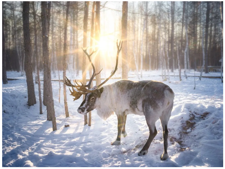 1758856480640_74iZ2k8h 1758856480640_74iZ2k8h