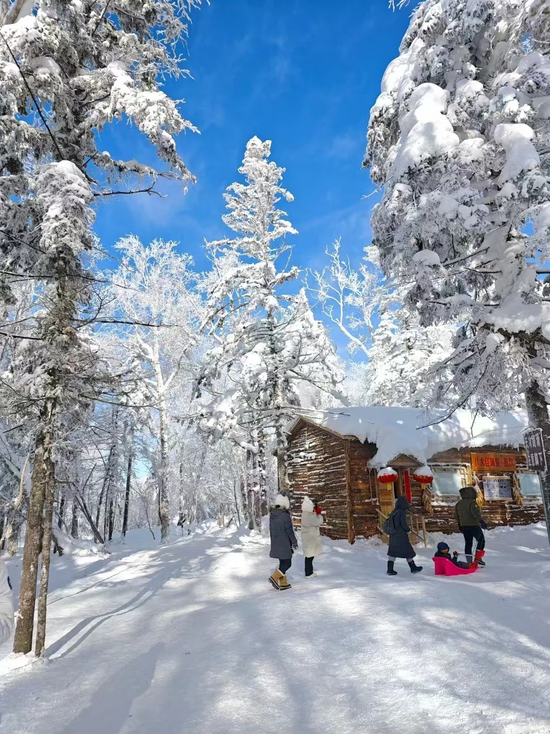 1758856480647_52mAZa7e 1758856480647_52mAZa7e