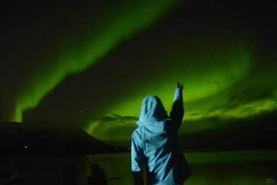 1758856480652_44iG82kz 1758856480652_44iG82kz