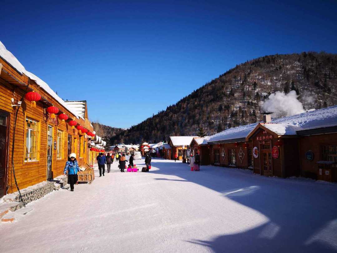 1758856480653_32h5ehHa 1758856480653_32h5ehHa