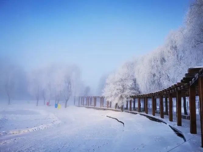 1758856480655_224RyQFd 1758856480655_224RyQFd